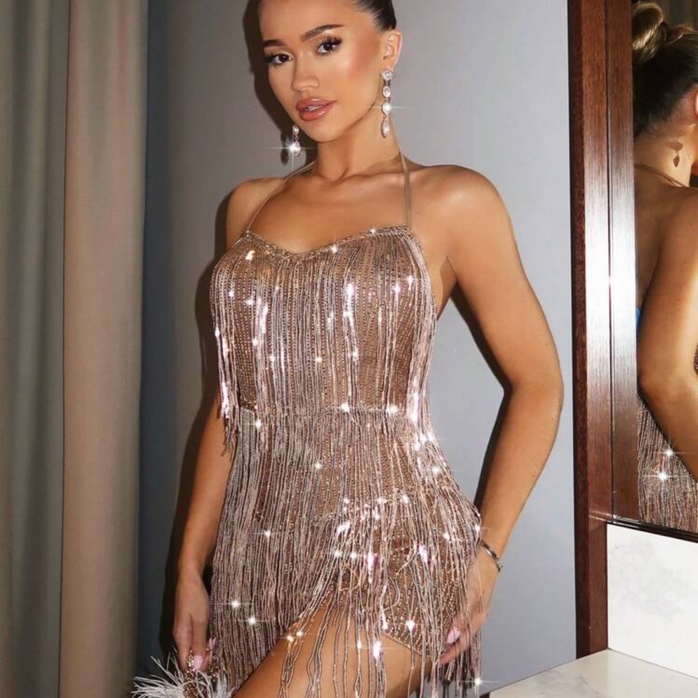 Elegant Sequin Fringe Dress (Great Gaspy theme)